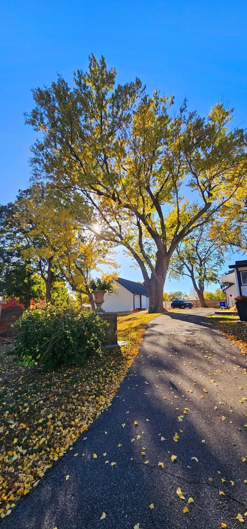1908 Modern Farmhouse On Large Private Treed Lot Шони Экстерьер фото